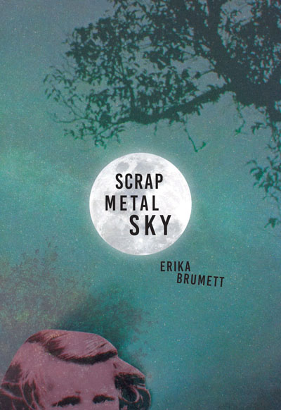 Scrap Metal Sky, Erika Brumett